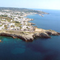 leuca1