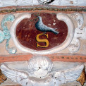 stemma-salve