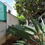 casa vacanza pescoluse fronte mare (2)