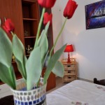 claudia castro salento casa vacanza affitto (26)