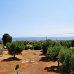 claudia lido marini 1 casa vacanza salento (1)